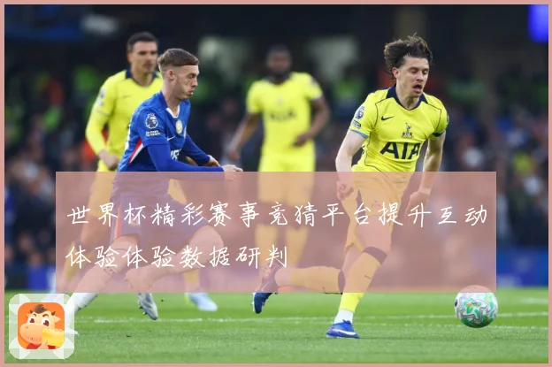 世界杯精彩赛事竞猜平台提升互动体验体验数据研判