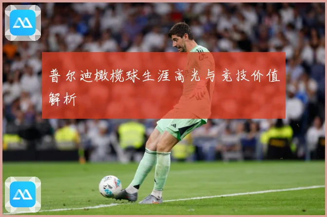 普尔迪橄榄球生涯高光与竞技价值解析